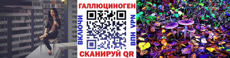 Псилоцибиновые грибы Psilocybe  Устюжна 